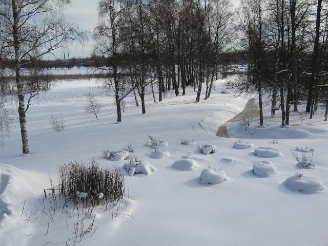 2010_talvi 028.jpg